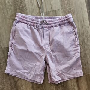 Faherty Men's Purple Shorts